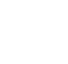 100 Lixo